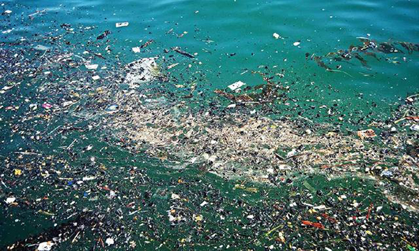 79,000 tons plastic floating in the Pacific trash belt