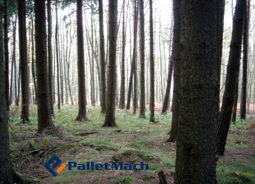 timber shortage